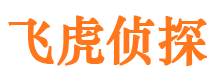 怀化外遇调查取证